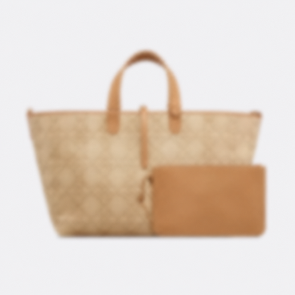 LARGE BAG