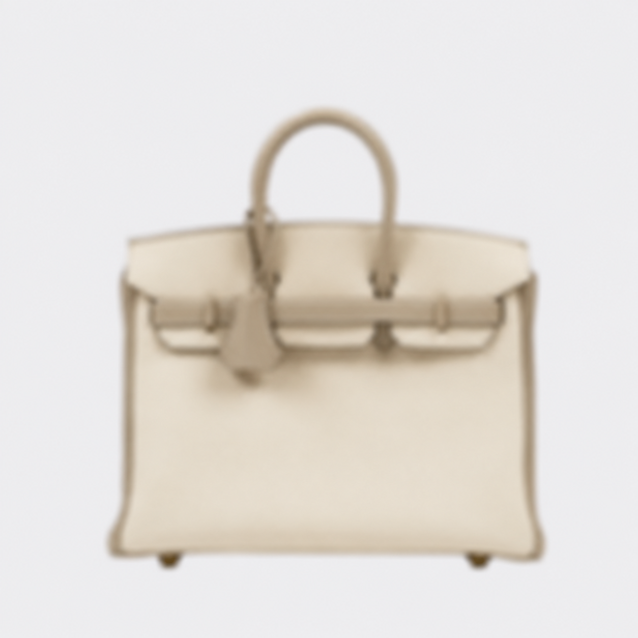 25 BAG IN CHALK  GRIS MADE OF TOGO LEATHER